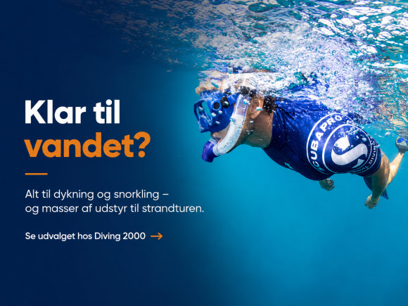 Upptäck utbudet av masker, snorklar, fenor och full-face-masker. Få tips för att hitta havsdjur på svenska stränder med vår snorkelguide.